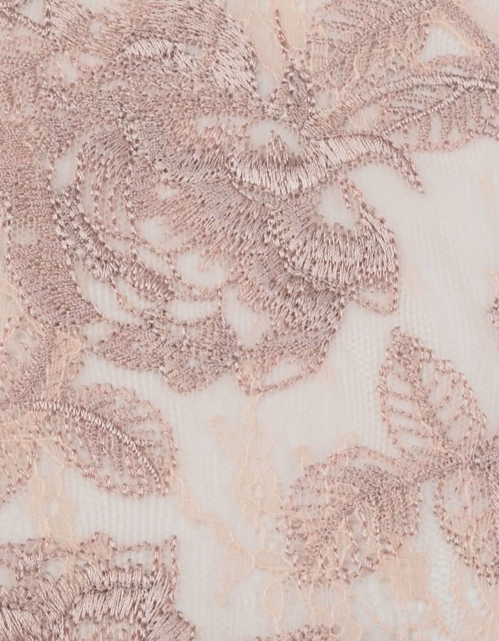 33485 blush close up.1