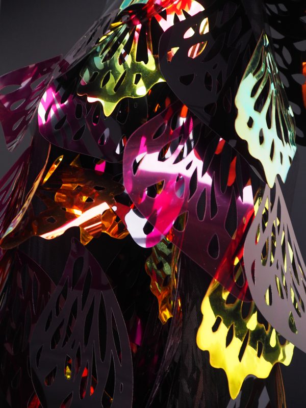 OLYMPUS DIGITAL CAMERA OLYMPUS DIGITAL CAMERA